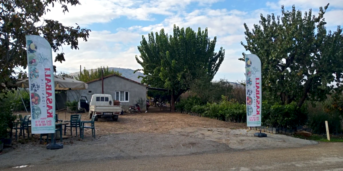 Fidancılıkta Yanınızdayız