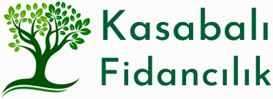 Kasabalı Fidancılık